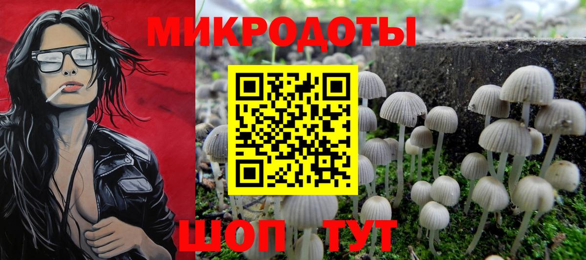 Псилоцибиновые грибы Cubensis Назрань