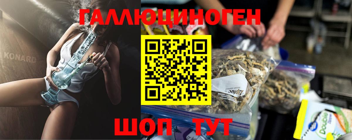 Галлюциногенные грибы GOLDEN TEACHER  Вход с VPN  Галлюциногенные грибы мицелий  Назрань 